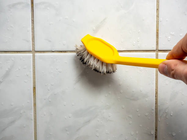 Best Mold Remediation Services  in Troy, TN