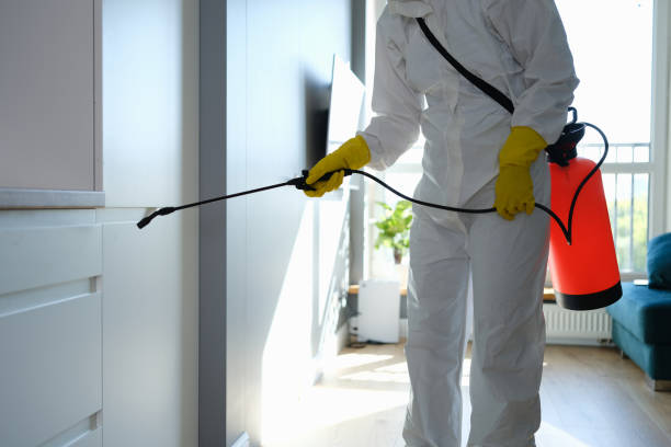 Best Mold Removal and Inspection  in Troy, TN