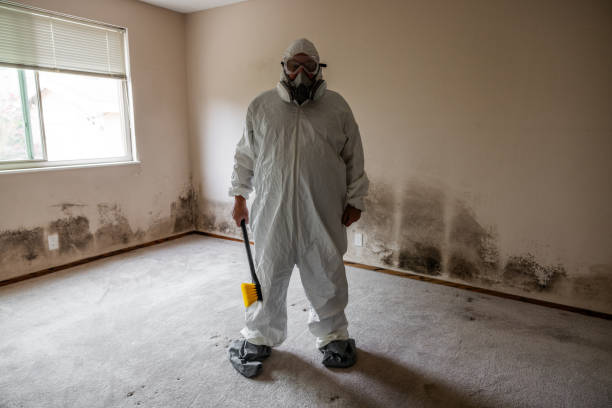 Best Attic Mold Removal  in Troy, TN